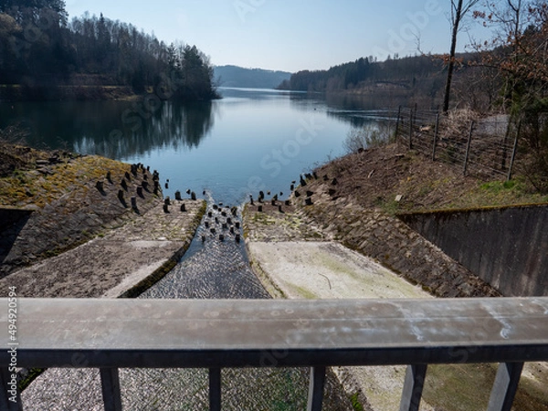 Obraz Dhüntalsperre 