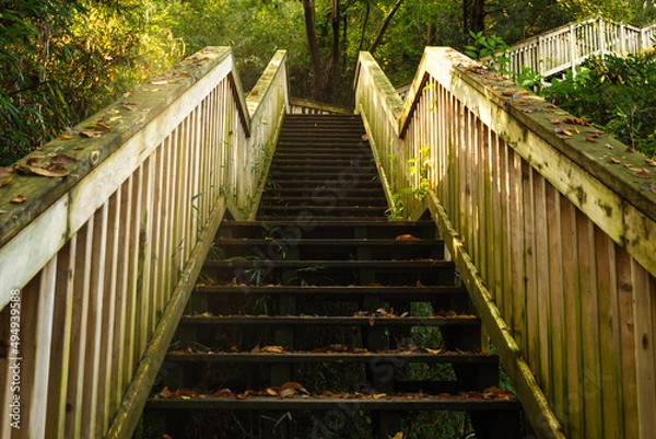 Fototapeta 木製の階段