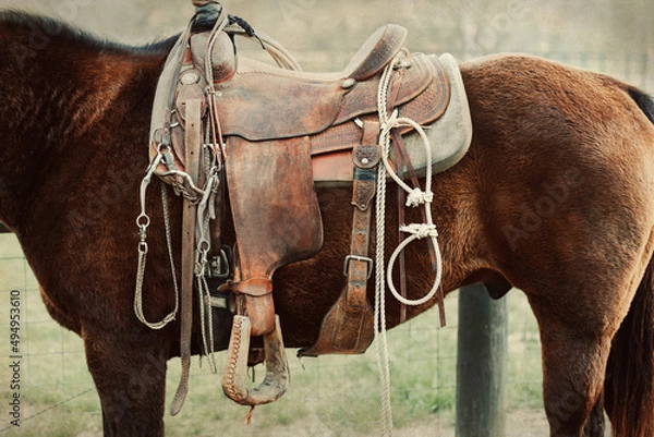 Fototapeta A close up image of a western saddle on a work horse on a ranch or farm with a vintage feel