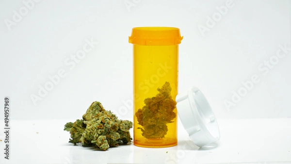 Obraz last nug in bottle