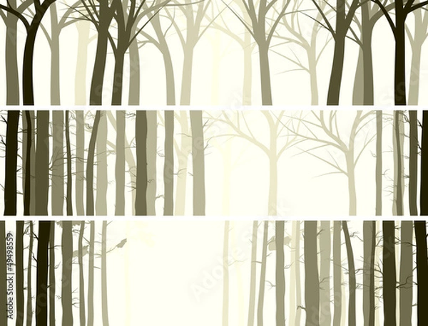Obraz Horizontal banner with many tree trunks.
