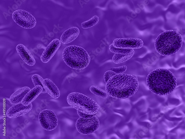 Fototapeta mauve cells