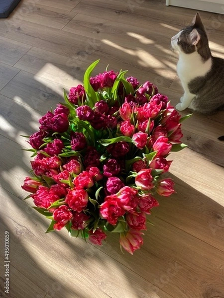 Obraz cat with flowers