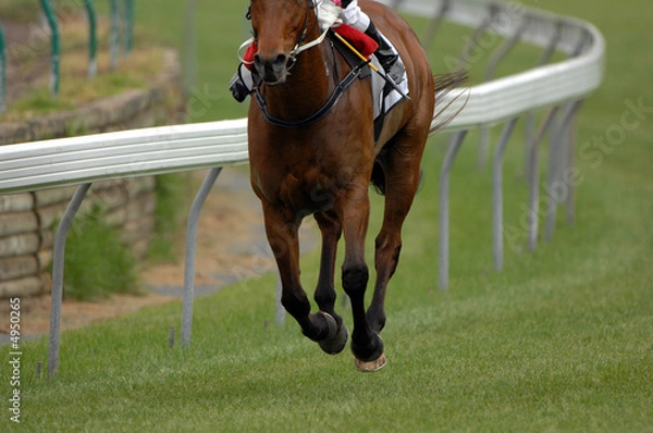 Obraz A single race horse on an empty track.