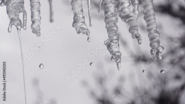 Obraz icicles on a window