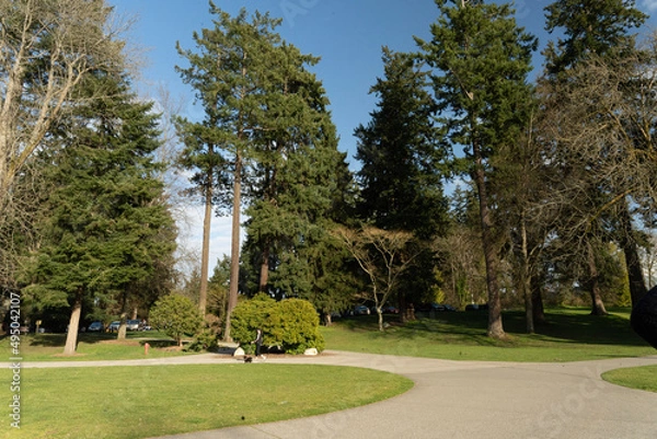 Obraz park in the park