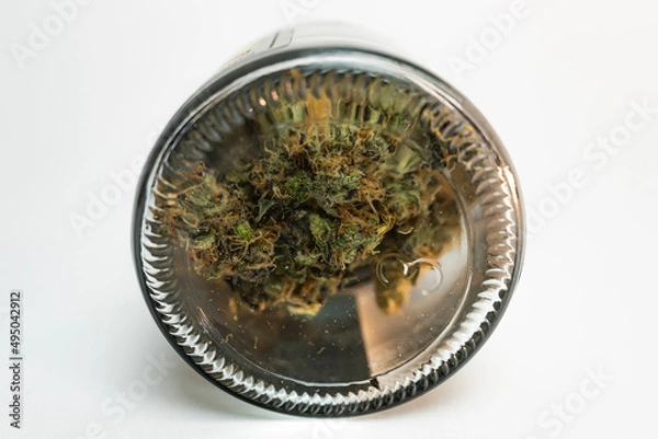 Obraz tea leaves on a white background