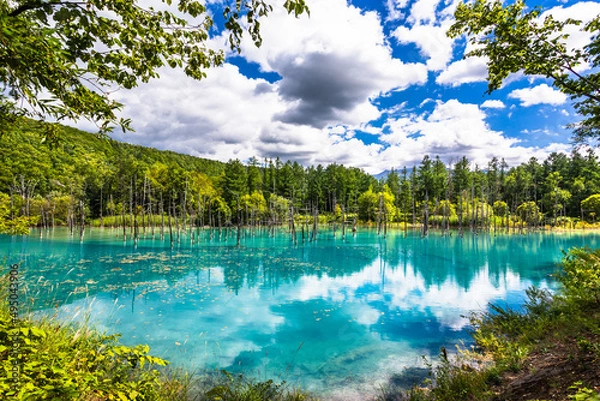 Obraz 北海道美瑛、9月の青い池・日本