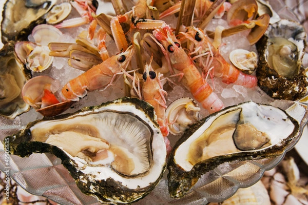 Fototapeta scogliera