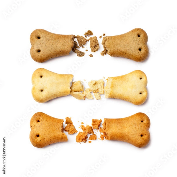 Obraz A set of broken snacks for dogs. Bone biscuits for dogs