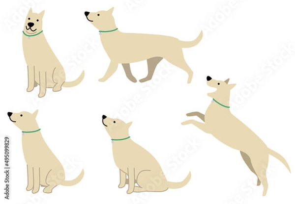 Obraz 大型犬