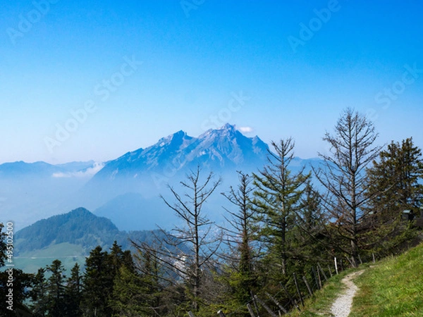 Fototapeta mountains in the summit in the Swiss Alps