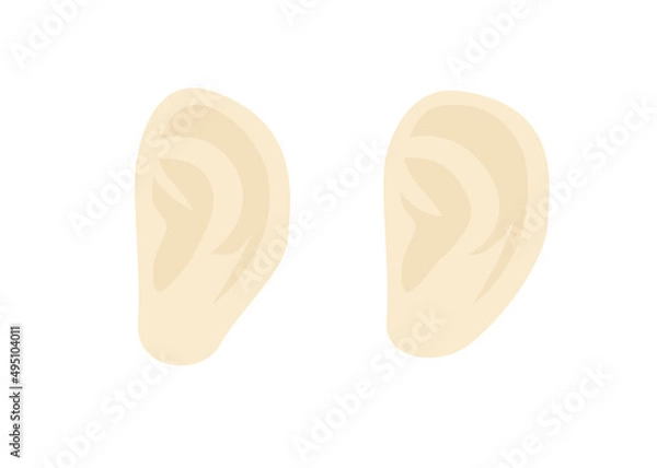 Obraz 耳（人体）