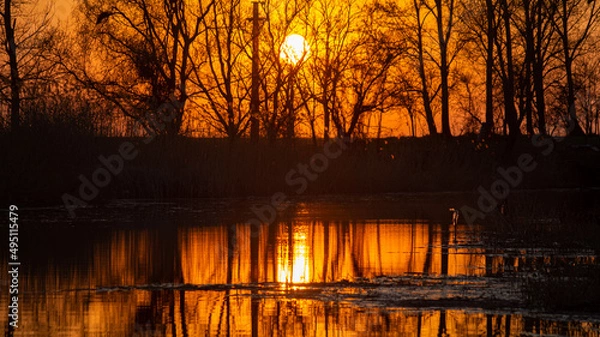 Obraz sunset over the river