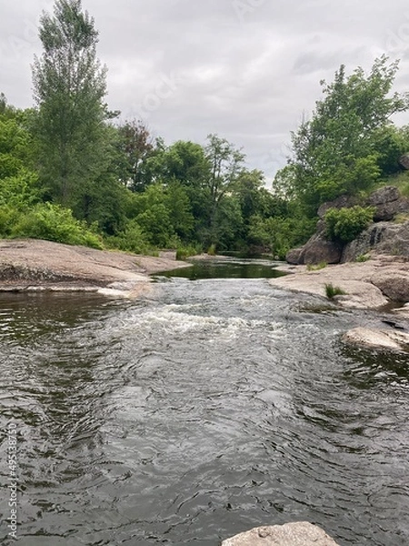 Obraz river in the forest
