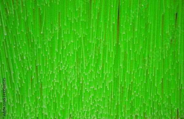 Fototapeta green striped background. abstract Art.
 textured. backdrop. decorative