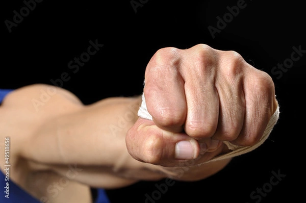 Obraz Flying fist
