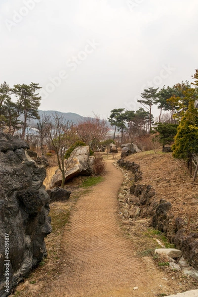Fototapeta Cloudy days, trails, trees and stones.