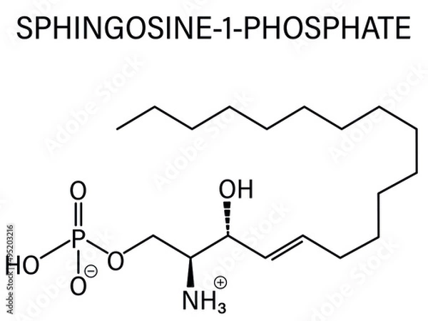 Fototapeta Sphingosine-1-phosphate (S1P) signaling molecule. Skeletal formula.	