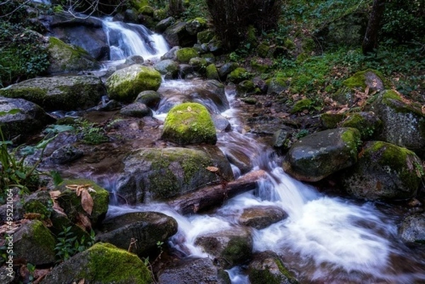 Obraz waterfall in the forest