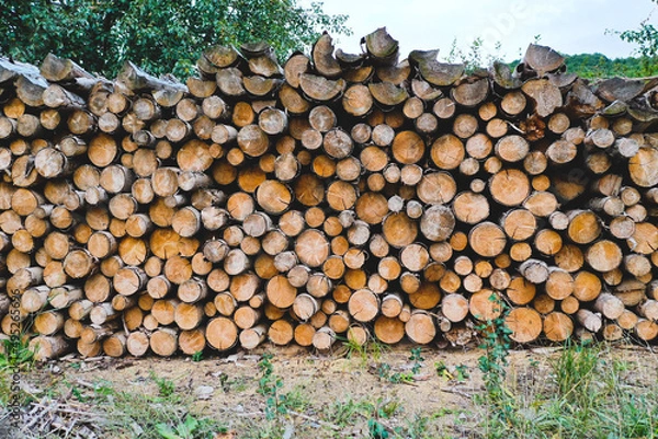 Obraz stack of firewood