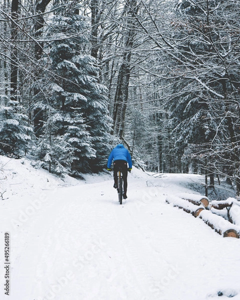 Obraz walking in the snow