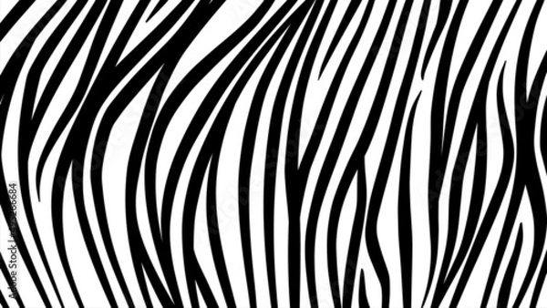 Obraz White Tiger stripes pattern Free Vector