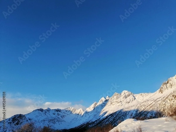 Obraz snow covered mountains in winter