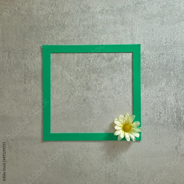 Fototapeta Green square frame and one white flower on a gray concrete background. Text space. Top view. Minimal style.