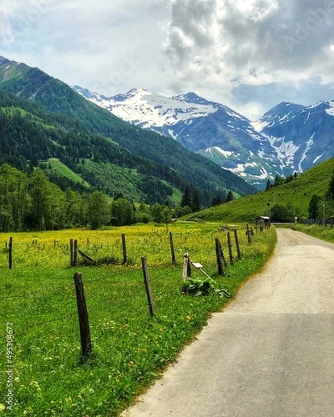 Obraz landscape in the mountains