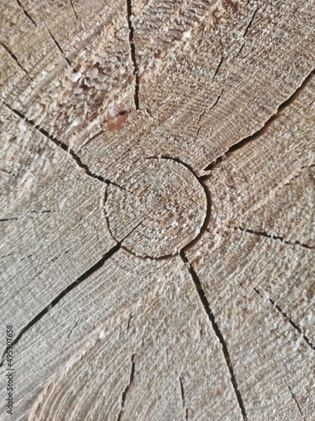 Obraz old wood texture