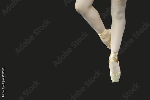 Obraz danza classica