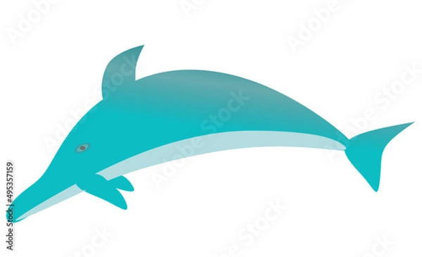 Obraz dolphin illustration
