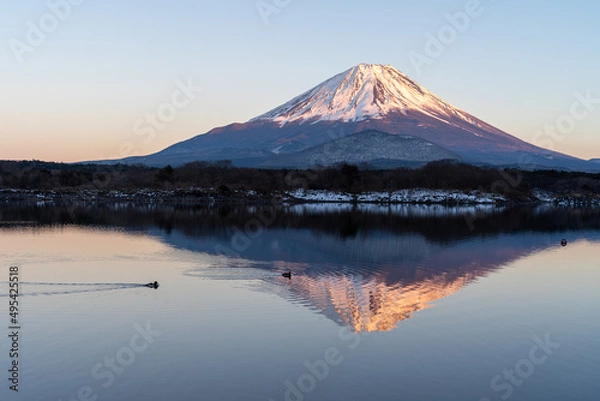 Fototapeta 夕暮れの富士山と湖面