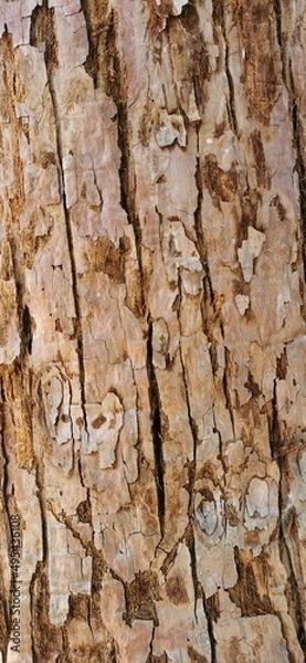 Obraz Baumrinde