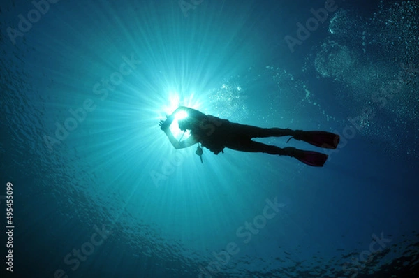 Fototapeta Taucher Silhouette 