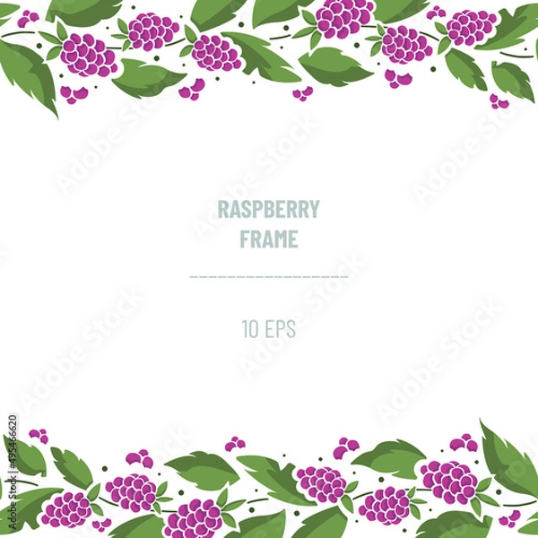 Fototapeta Horizontal border composition with raspberries on foliate twigs; perfect for greeting cards, posters, banners, invitations and other design. Vector illustration.