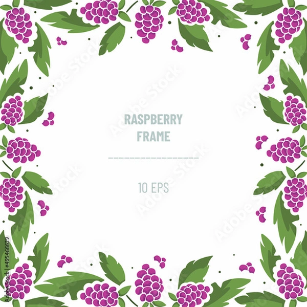 Fototapeta Vector frame with raspberries and foliage; square border composition. Perfect for greeting cards, posters, banners, invitations and other design.