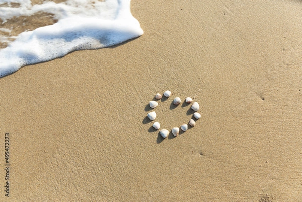 Fototapeta mussel shells on the beach