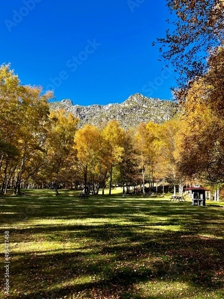 Fototapeta Autumn in the park