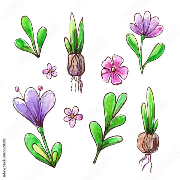 Obraz Watercolor set of leaves and flowers. Spring plants for design.