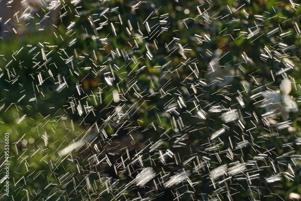 Fototapeta electric lights of water drops