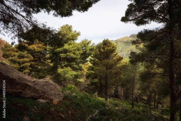 Fototapeta Sicilian Italian Coastal Hill Spring Landscape in Europe on a lovely day