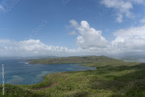 Fototapeta Martinique