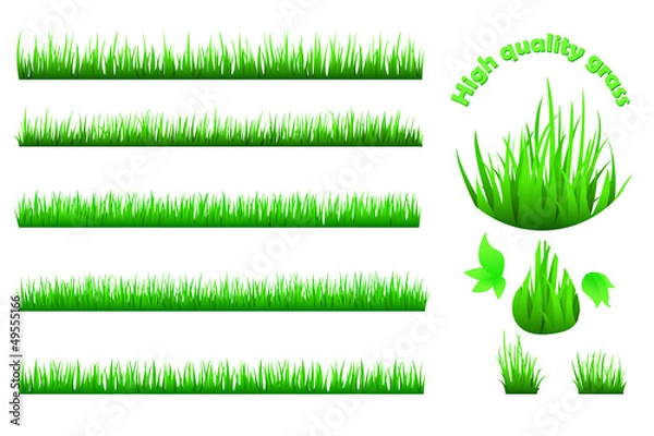 Obraz High quality grass set