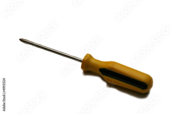 Obraz screwdriver