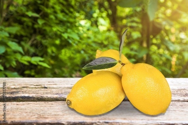 Fototapeta Lemon fruits with branch and leaves on background.