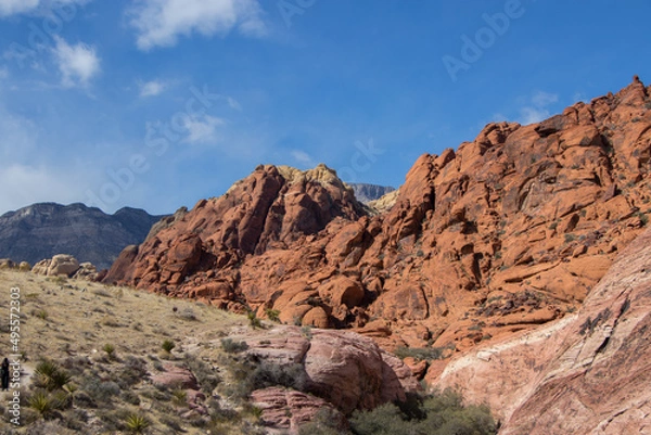Obraz Red Rock Views