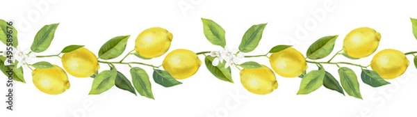 Fototapeta Seamless border with lemon fruits, citrus flowers, and branches. Hand drawn watercolor images