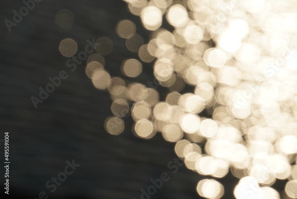 Fototapeta 川のキラキラした水面/Sparkling surface of the river